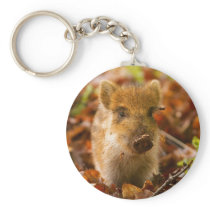 A Wild Boar Piglet Sus Scrofa in the Autumn Leaves Key Chains