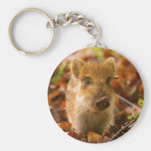 A Wild Boar Piglet Sus Scrofa in the Autumn Leaves Key Chains