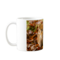 A Wild Boar Piglet Sus Scrofa in the Autumn Leaves Coffee Mug