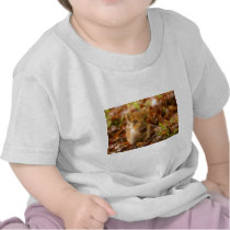 A Wild Boar Piglet Sus Scrofa in the Autumn Leaves Tee Shirt
