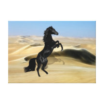 A wild rearing black stallion stretched canvas print