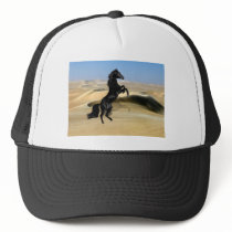 A wild rearing black stallion hats