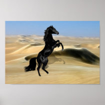 A wild rearing black stallion print