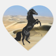 A wild rearing black stallion stickers