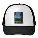 A Window Boundary Made By Living Tree Hat