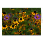 A windy Day Greeting Cards