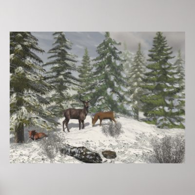 A Winter's Vue Posters by Brian_Simes