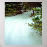 A Winter's Walk Canvas