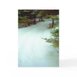 A Winter's Walk Greeting Card