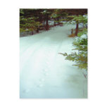 A Winter's Walk Postcard