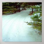 A Winter's Walk Poster