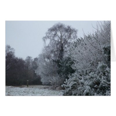 A wintry scene in Ashdown Forest Greeting Cards by Onawhimsey