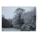 A wintry scene in Ashdown Forest cards