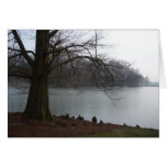 A wintry scene in England cards