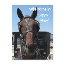 A Wisconsin Hey! Postcards