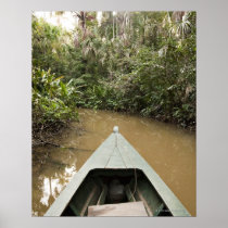A wooden canoe made of Eucylptus tree floats in 2 Posters