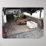 A Working Truck posters
