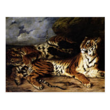A Young Tiger with its Mother Post Cards