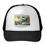 Aardvark Dentistry Funny Gifts & Collectibles Mesh Hats
