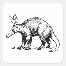 Aardvark Square Sticker