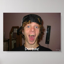 Aaron Donkey! Poster