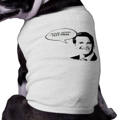 Aaron Schock 2012 by Politicaltshirts