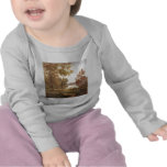 ab50836_b~Tranquillity-II-Posters[1] Tshirts