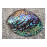 Abalone Card