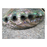 Abalone Card Two