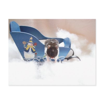 abandon sled!! by KatAnnette