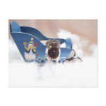 abandon sled!! postcards