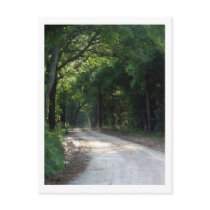 Abandonded Haunted County Road  ghost in the photo Postcard