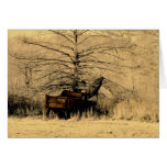 Abandoned Dump Truck Cards