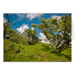 Abandoned Farm Greeting Card