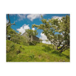 Abandoned Farm Postcards