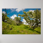 Abandoned Farm Poster