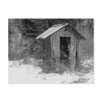Abandoned Outhouse (B&W) Postcard