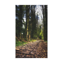 Abandoned Railway Tracks HDR Stretched Canvas Print