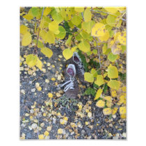 Abandoned Shoes Photograph