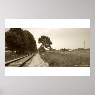 Abandoned Train Tracks Poster by csndra0504