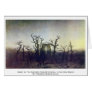 Abbey In The Oakwood Greeting Card