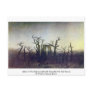 Abbey In The Oakwood Post Cards