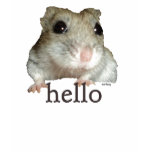 abby hello t-shirts
