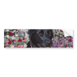 Abby in Flowers – Black Lab in Flowers Bumper Sticker