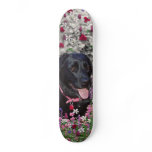 Abby in Flowers – Black Lab in Flowers skateboards