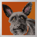 Abby Schnauzer Print