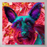 Abby the Schnauzer Posters