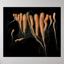 Abby's Carrots Posters