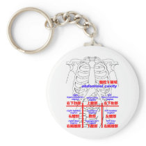 abdominal cavity