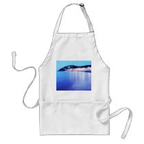 Aberystwyth Sea Front Aprons